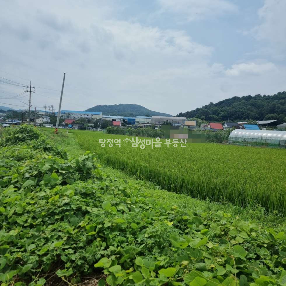 충남 천안동남구 성남면 석곡리 448-2 (토지 1540평) 도로접한 계획관리지역 농지 매매 매매 매물번호 10401 사진 1